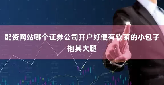 配资网站哪个证券公司开户好便有软萌的小包子抱其大腿